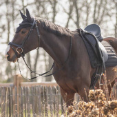 Oornetje Salerno Zwart Oornetje Salerno Zwart