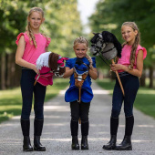 Stokpaard Bruin Stokpaard Bruin