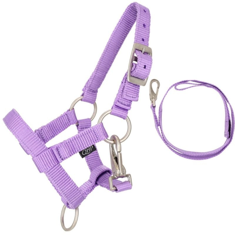 Halter en Halstertouw  voor stokpaard Paars