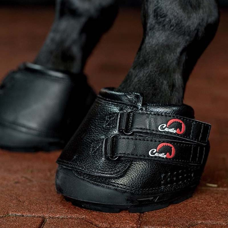 Hoefschoenen Simple Regular 2-pack Zwart