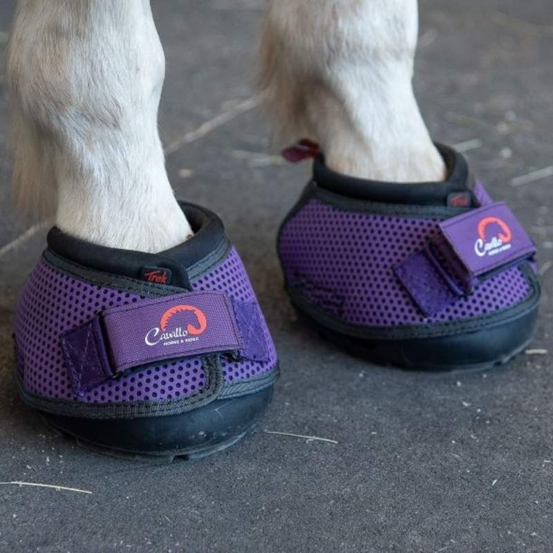 Hoefschoenen Trek Regular 2-pack Paars