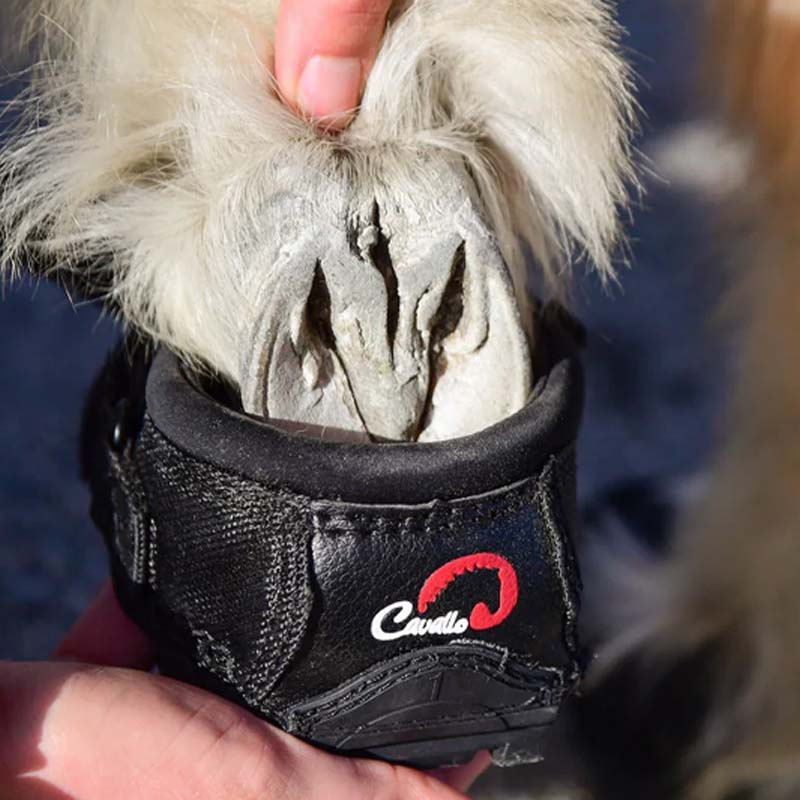 Hoefschoenen CLB 2-pack Regular Zwart