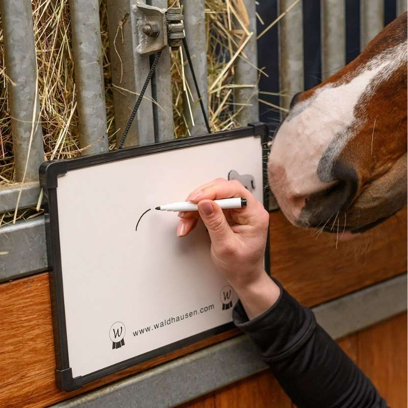 Stalbord Magnetic MemoBoard Wit