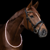 Halsring LED Light Wit Halsring LED Light Wit