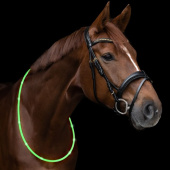 Halsring LED Light Groen Halsring LED Light Groen