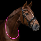 Halsring LED Light Roze Halsring LED Light Roze