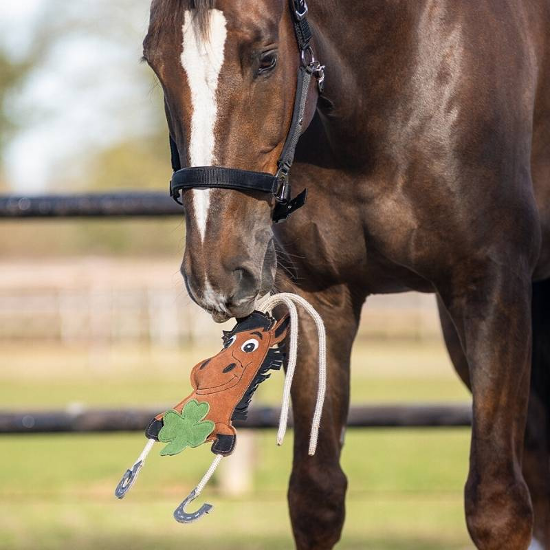 Paardenspeelgoed Good Luck Groen