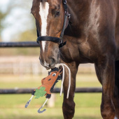 Paardenspeelgoed Good Luck Groen Paardenspeelgoed Good Luck Groen
