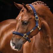 Halster HS Equestrian Life Marineblauw Halster HS Equestrian Life Marineblauw