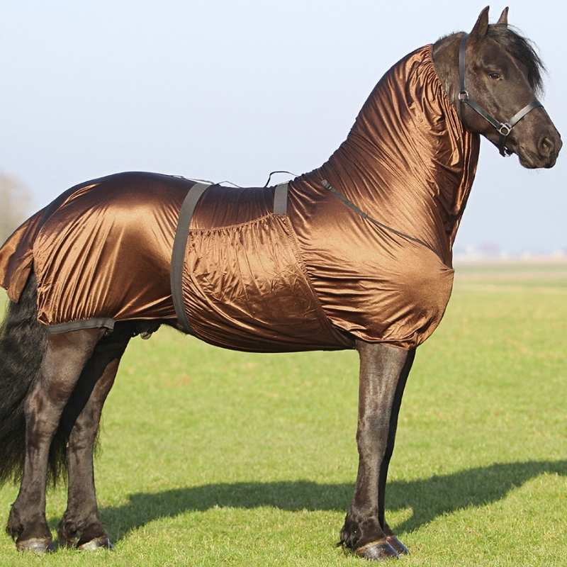 Eczeemdeken Big Neck Bruin