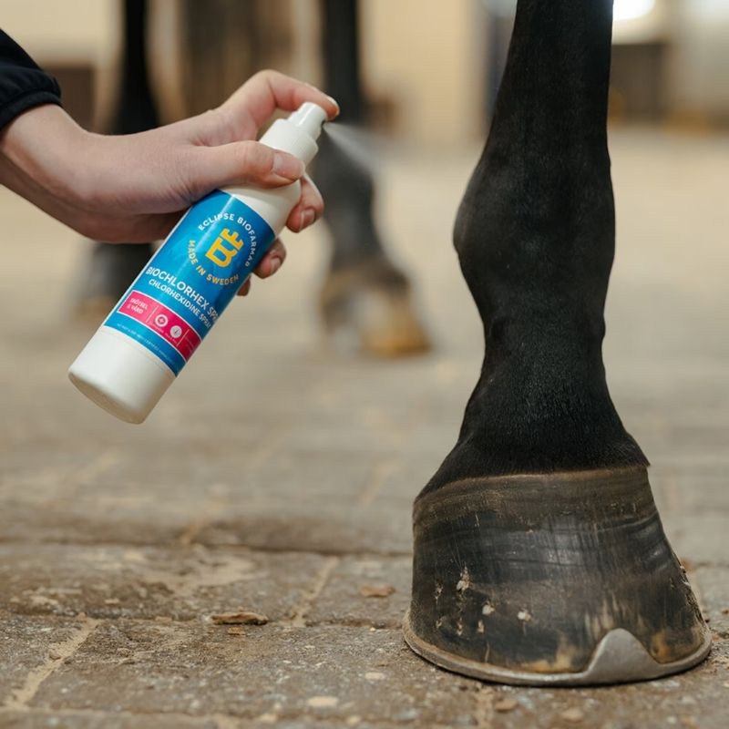 Wondspray BioChlorHex 200 ml