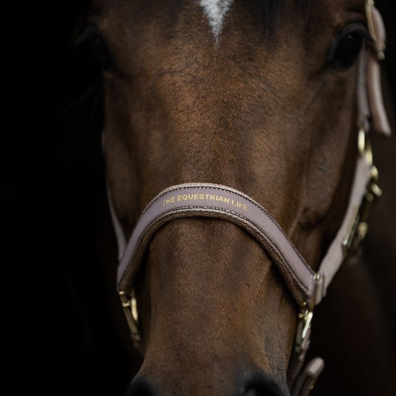 Halster HS Equestrian Life Beige