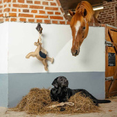 Paardenspeeltje HS Eenhoorn van Jute Natuur Paardenspeeltje HS Eenhoorn van Jute Natuur