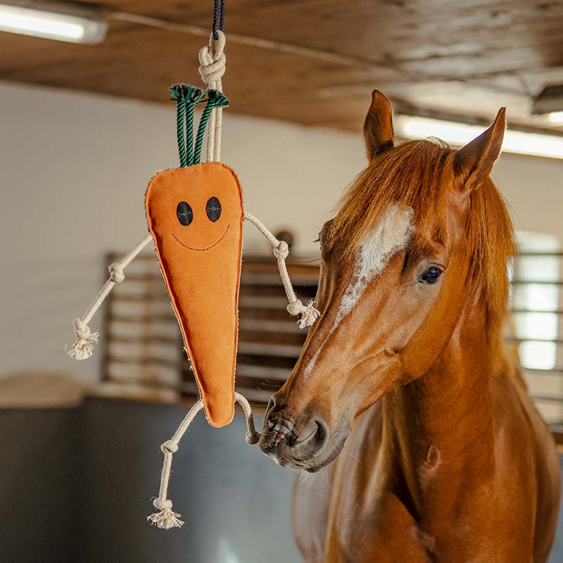 Paardenspeeltje HS Wortel van Oranje Suede
