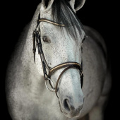 Bidsel HS Clincher Aachen Bruin Bidsel HS Clincher Aachen Bruin