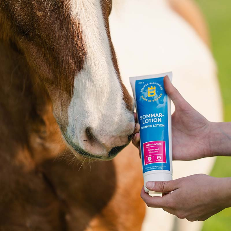 Zomerlotion Citronella 250ml
