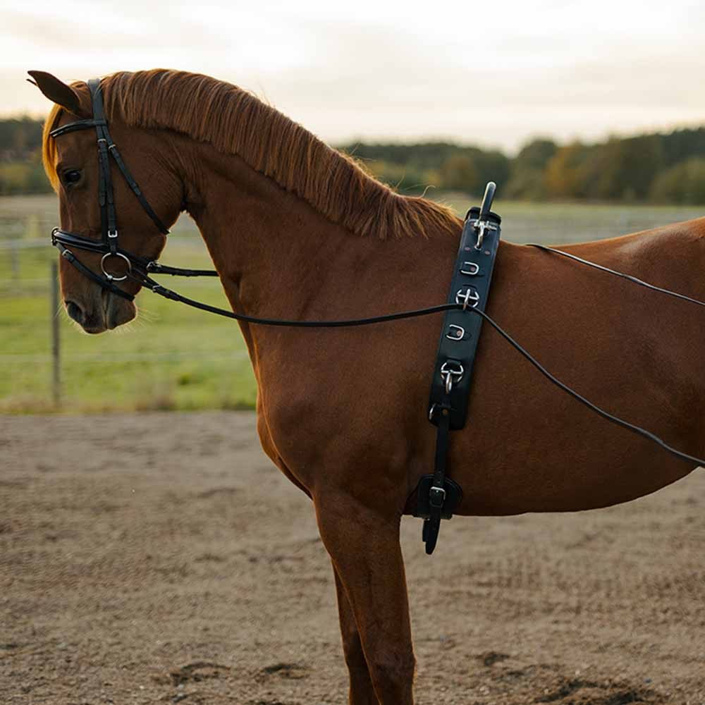 Longeergordel met Boog HS Zwart