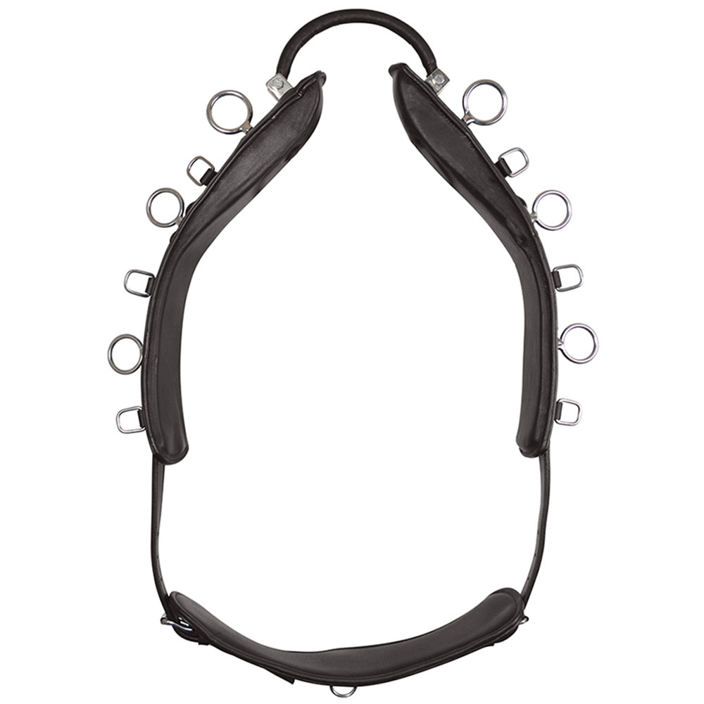 Longeergordel met Boog HS Bruin