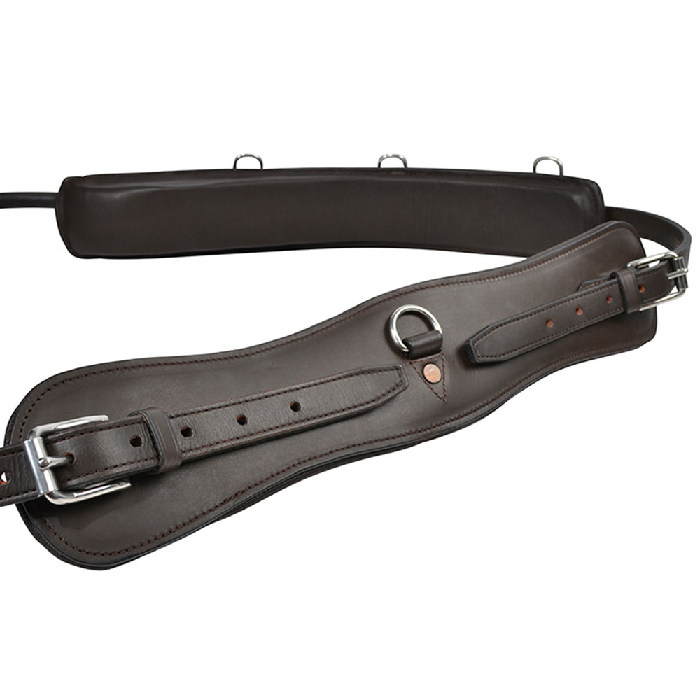 Longeergordel met Boog HS Bruin