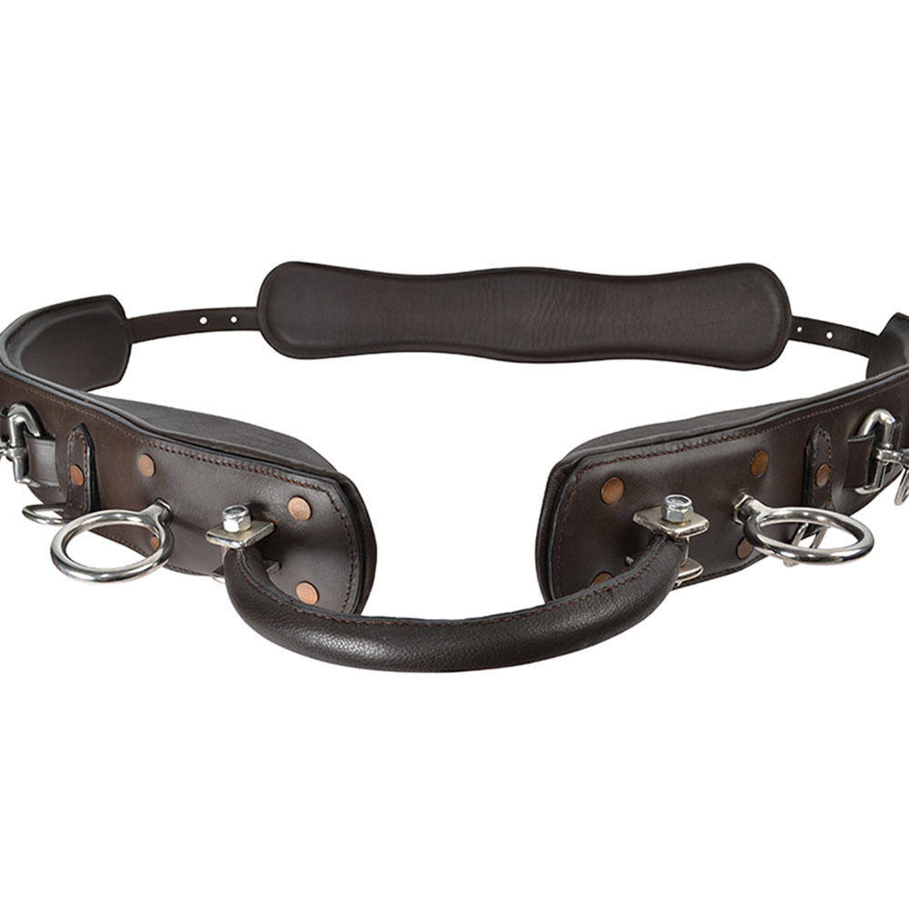 Longeergordel met Boog HS Bruin