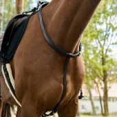 Halsriem met Handvat HS Bruin Halsriem met Handvat HS Bruin
