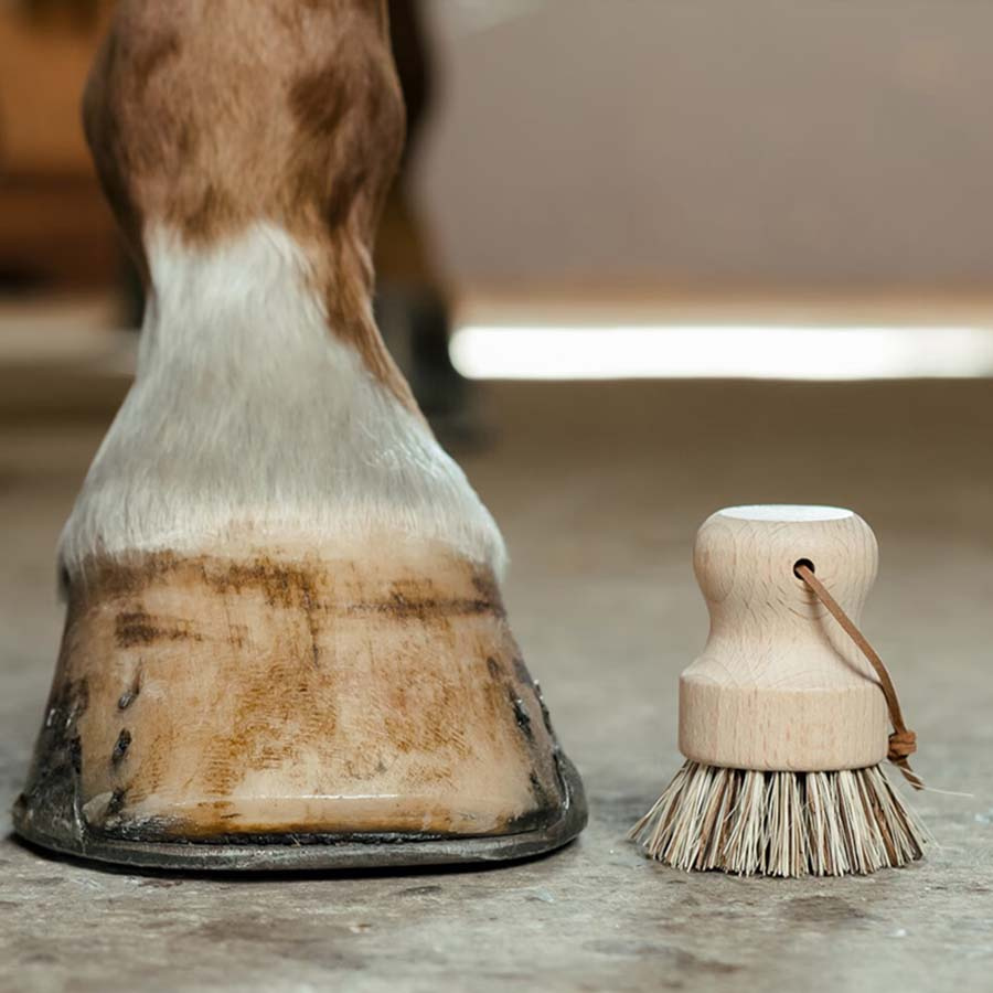 Ronde Hoefborstel Bruin