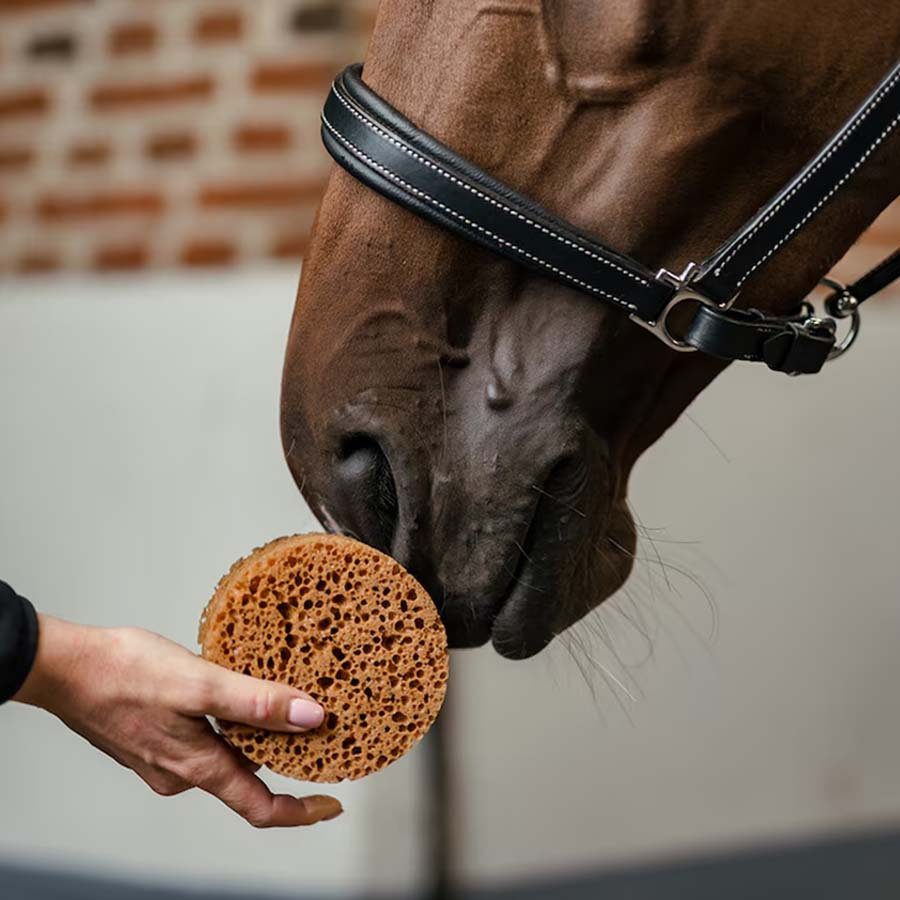 Ronde Spons Bruin