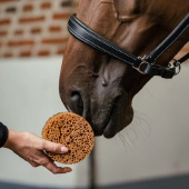 Ronde Spons Bruin Ronde Spons Bruin