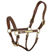 Lederen Halster E-logo Bruin/Messing Lederen Halster E-logo Bruin/Messing