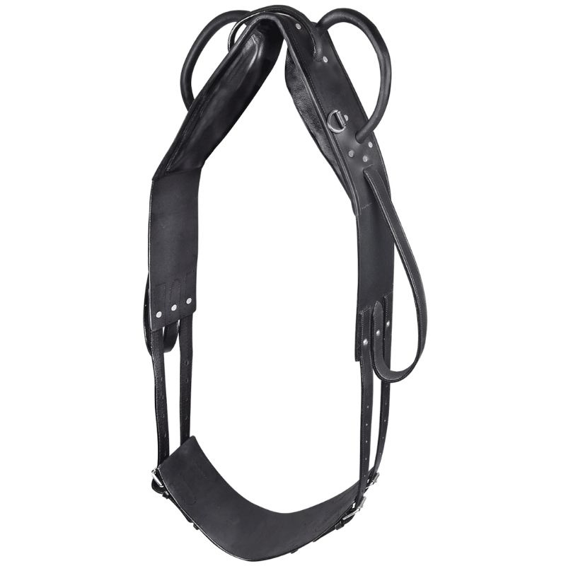 Voltige singel Leather Zwart