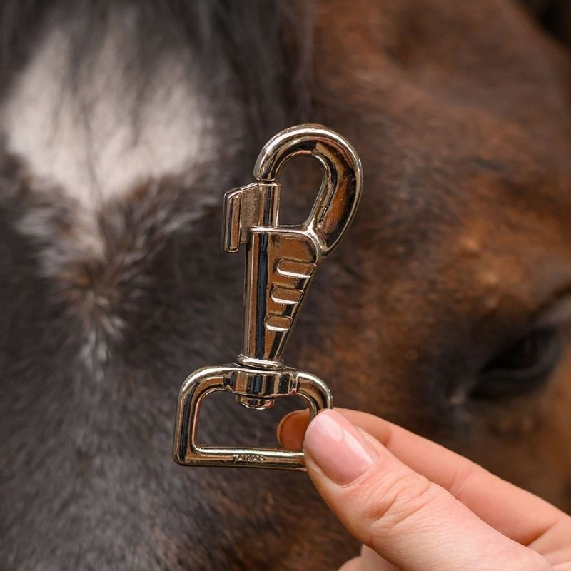 Karabijnhaak D-Ring Zilver