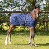 Veulendeken Turnout 600D 100g Marineblauw Veulendeken Turnout 600D 100g Marineblauw