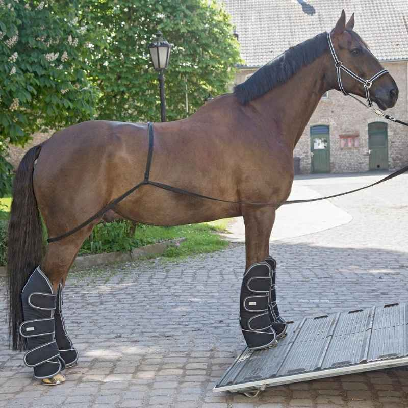 Laadhulp Transport Aid Zwart