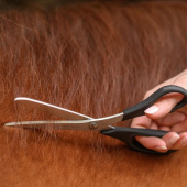 Schaar Manen & Staart Easy Cut Zwart Schaar Manen & Staart Easy Cut Zwart