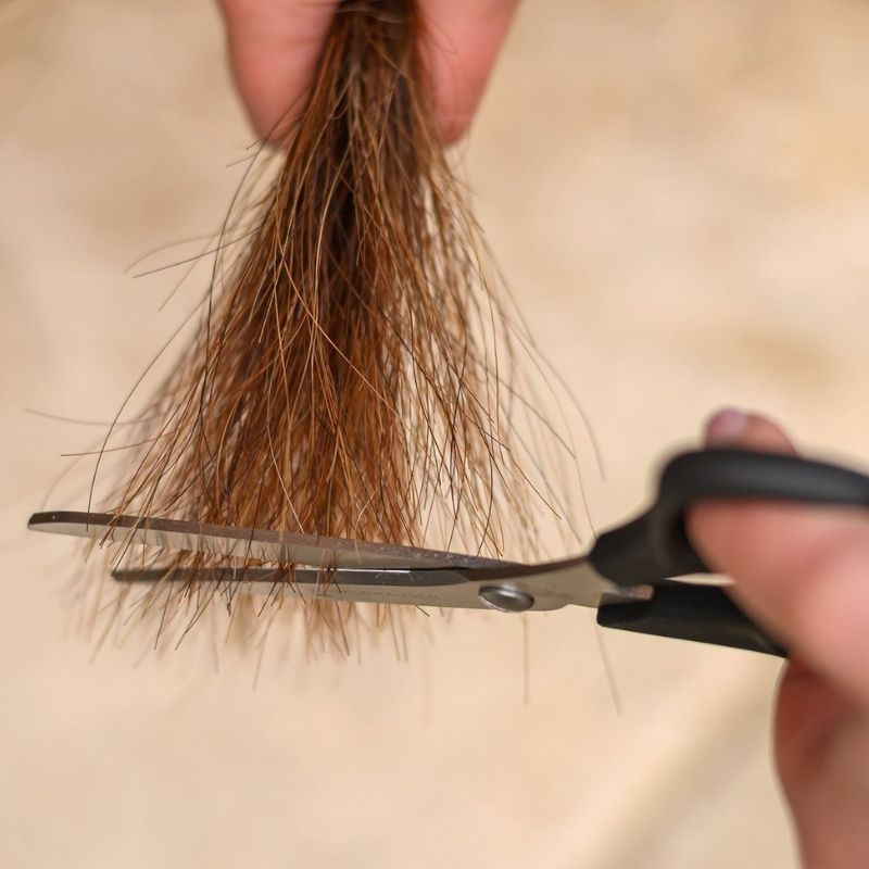 Schaar Manen & Staart Easy Cut Zwart