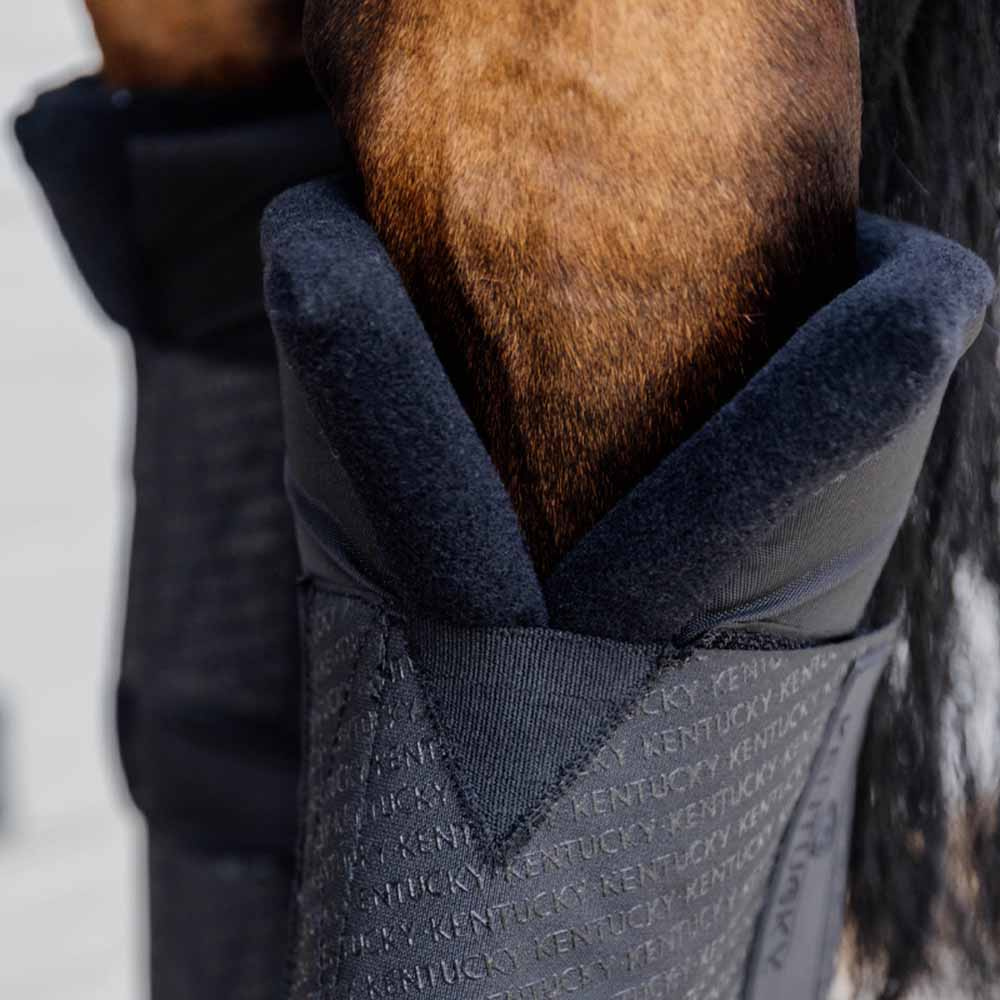 Stalbeschermers PROtect Classic Hind Zwart