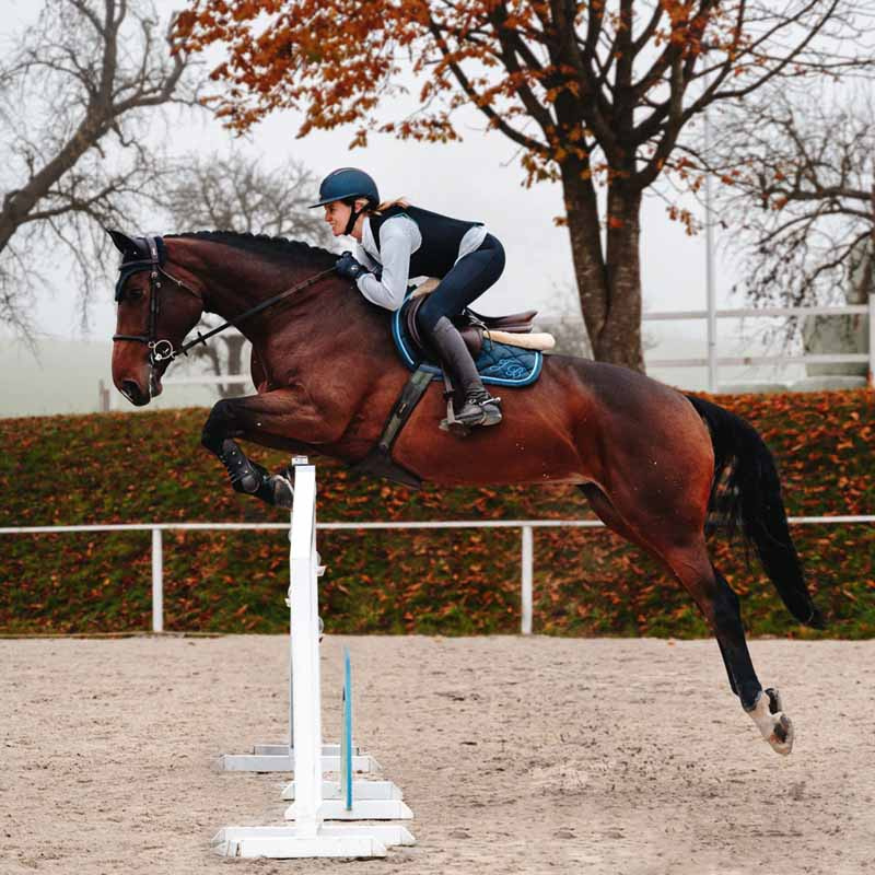 Rugbeschermer Ballistic Flex Fit Slim Zwart/Zilver