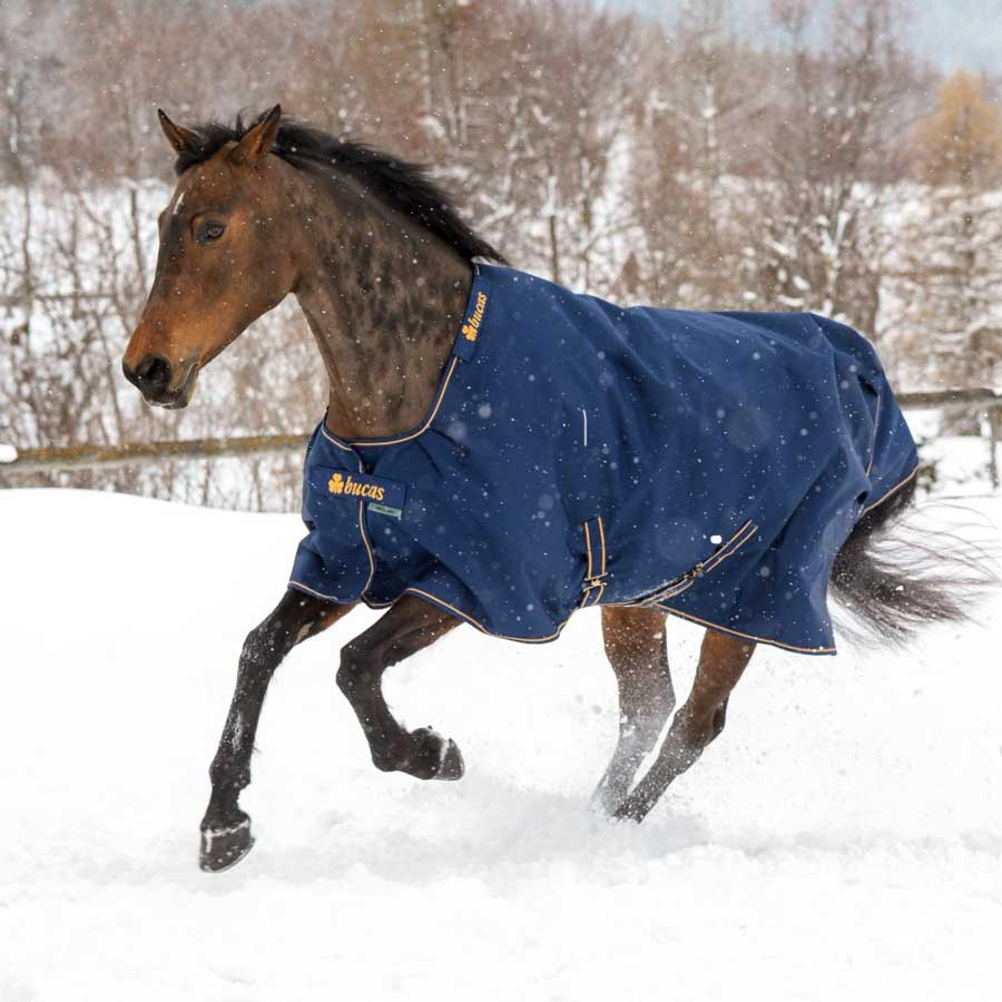 Winterdeken Irish Turnout 300g Marineblauw/Goud
