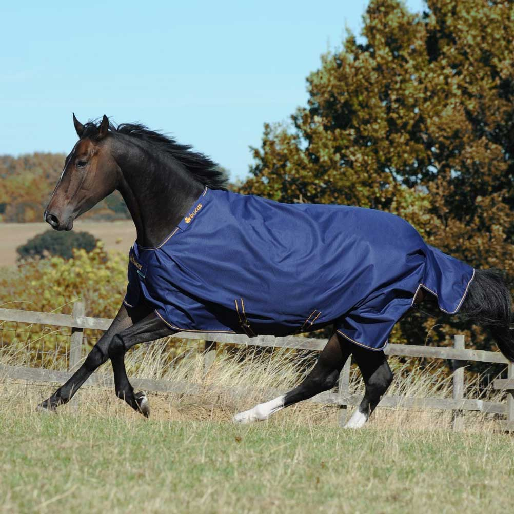 Winterdeken Irish Turnout 150g Marineblauw/Goud