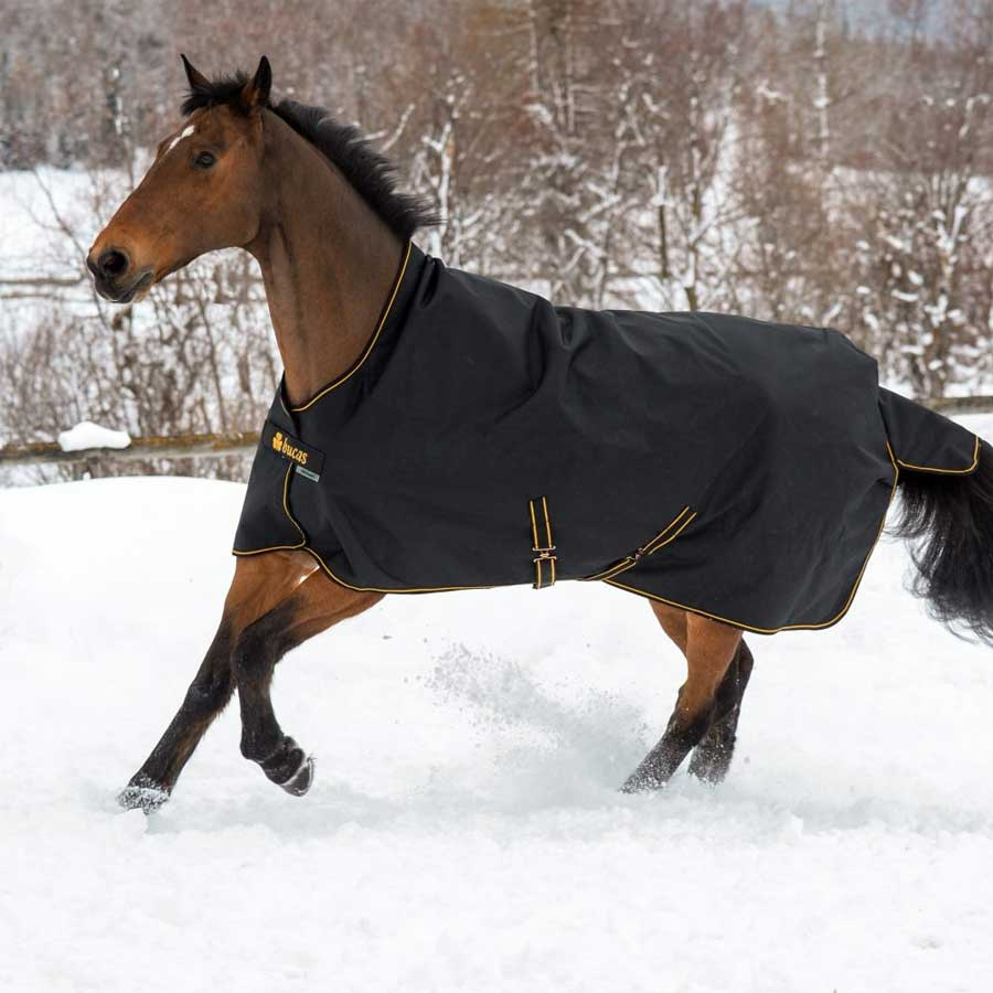 Winterdeken Irish Turnout 150g Zwart/Goud