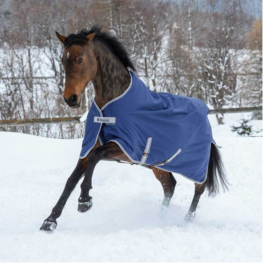 Winterdeken Pony Freedom Turnout 150g Marineblauw