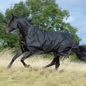 Regendeke Irish Turnout 0g Zwart/Goud Regendeke Irish Turnout 0g Zwart/Goud