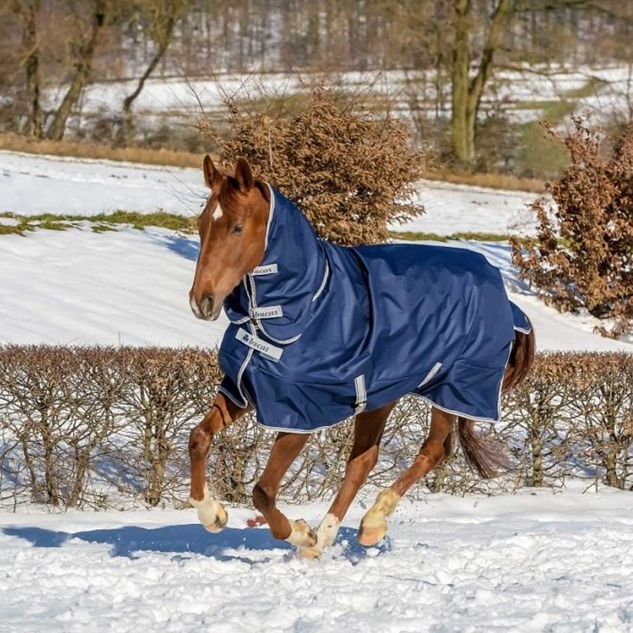 Winterteken met Hals Freedom Turnout 300g Marineblauw