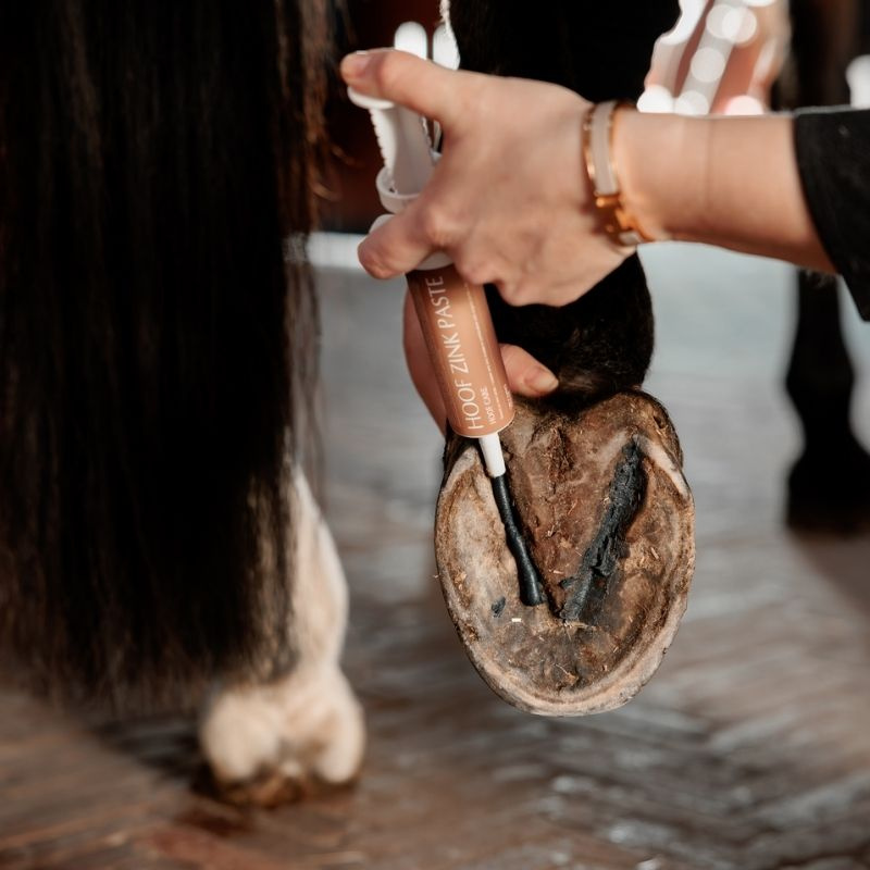 Hoefzalf Equi Hoof Zinc Paste 60ml