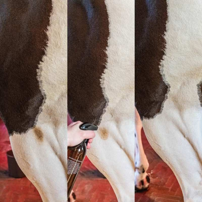 Droogshampoo Green Spot & Dust Remover Almond 500ml