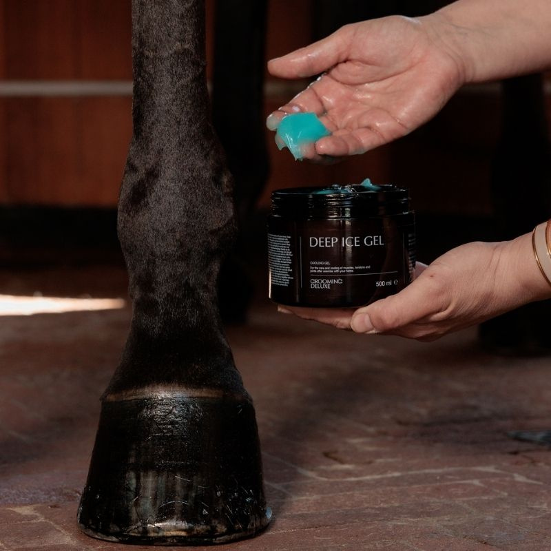 Koelgel Deep Ice Gel 500ml
