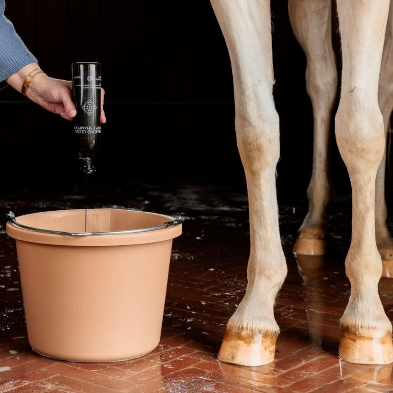 Schimmelsjampoo Almond Gloss Purple 500ml