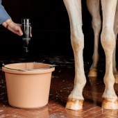 Schimmelsjampoo Almond Gloss Purple 500ml Schimmelsjampoo Almond Gloss Purple 500ml