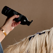 Schimmelsjampoo Almond Gloss Purple 500ml Schimmelsjampoo Almond Gloss Purple 500ml