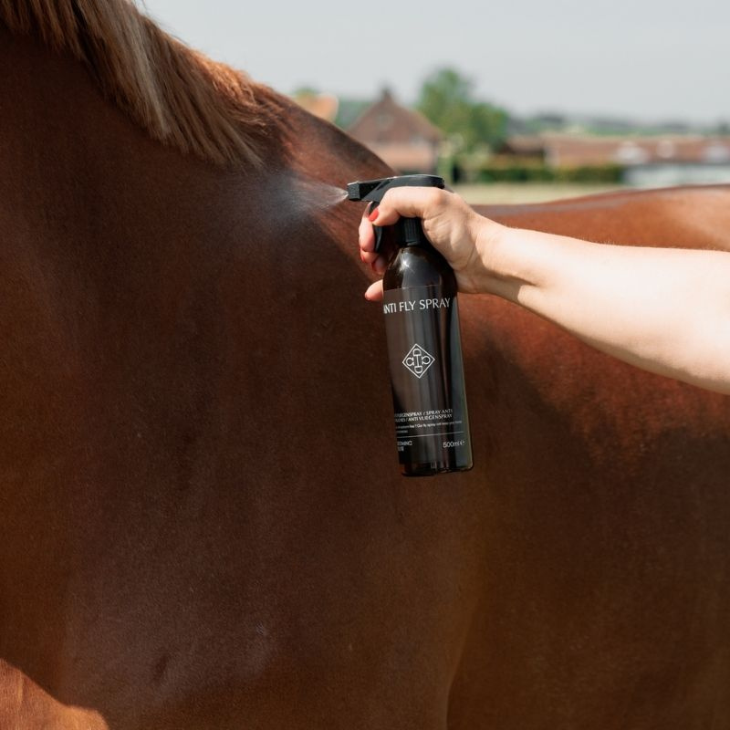 Vliegenspray Anti Fly Spray 500ml